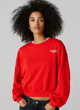 Regular Fit Crew Neck Sweatshirt