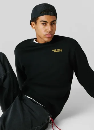 Regular Fit Crew Neck Sweatshirt