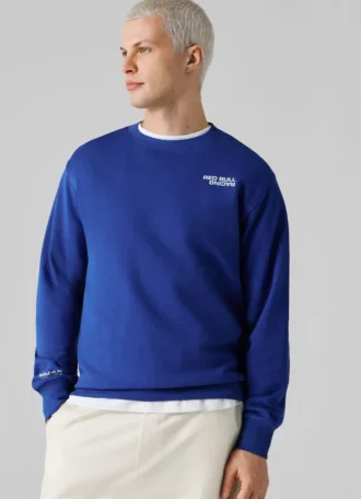 Regular Fit Crew Neck Sweatshirt