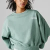 Regular Fit Crew Neck Sweatshirt