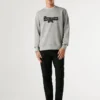 Regular Fit Crew Neck Sweatshirt