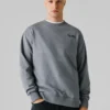 Regular Fit Crew Neck Sweatshirt