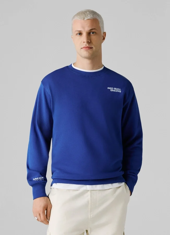 Regular Fit Crew Neck Sweatshirt Regular Fit Crew Neck Sweatshirt