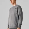 Regular Fit Crew Neck Sweatshirt