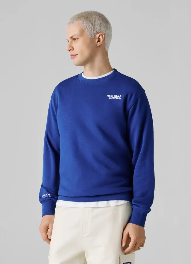 Regular Fit Crew Neck Sweatshirt Regular Fit Crew Neck Sweatshirt