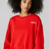Regular Fit Crew Neck Sweatshirt