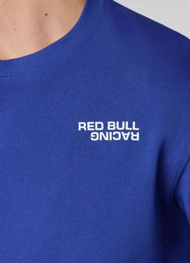 Regular Fit Crew Neck Sweatshirt Regular Fit Crew Neck Sweatshirt