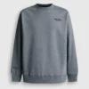Regular Fit Crew Neck Sweatshirt