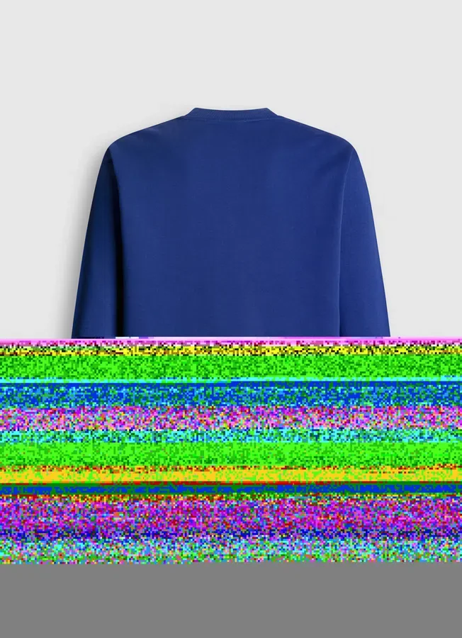 Regular Fit Crew Neck Sweatshirt Regular Fit Crew Neck Sweatshirt