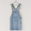 Regular Fit Denim Mini Dress