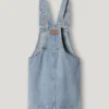 Regular Fit Denim Mini Dress