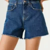 Regular Fit Denim Shorts