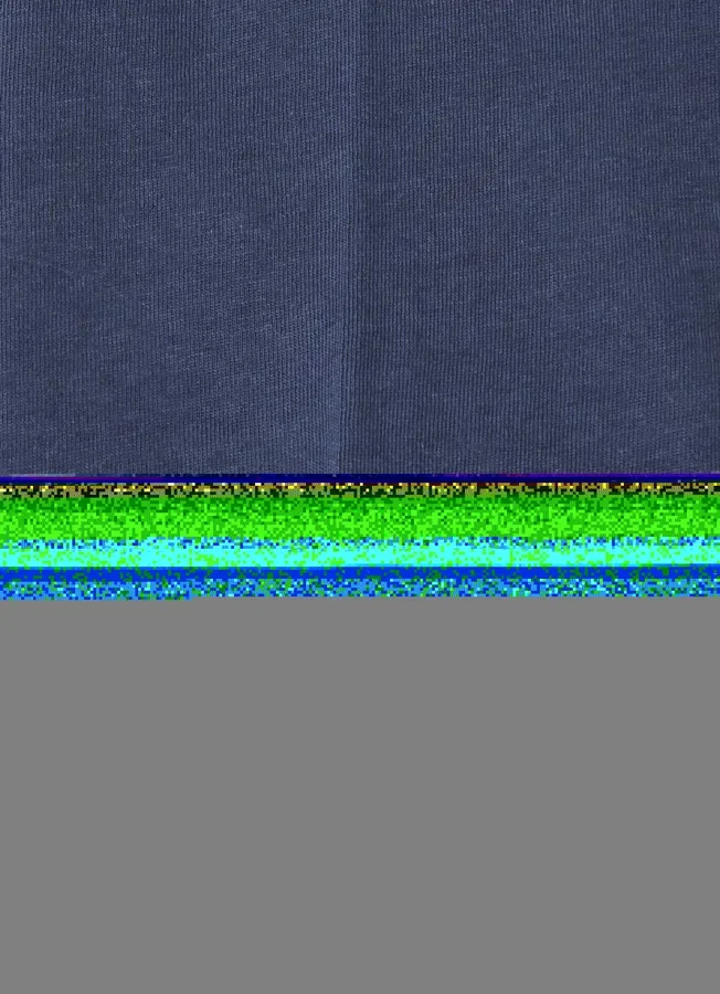 Regular Fit Logo Print T-Shirt Regular Fit Logo Print T-Shirt