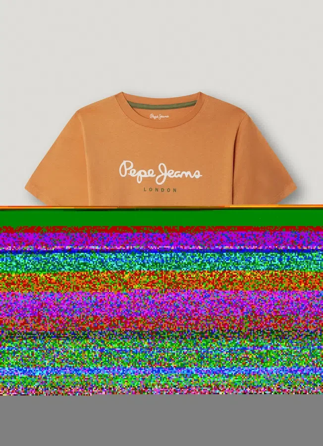 Regular Fit Logo Print T-Shirt Regular Fit Logo Print T-Shirt