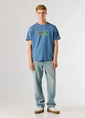 Regular Fit Printed Graphic T-Shirt