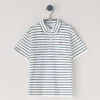 Regular Fit Striped Polo