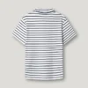 Regular Fit Striped Polo