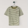 Regular Fit Striped T-Shirt
