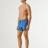 Swim Shorts Stripes