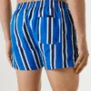 Swim Shorts Stripes
